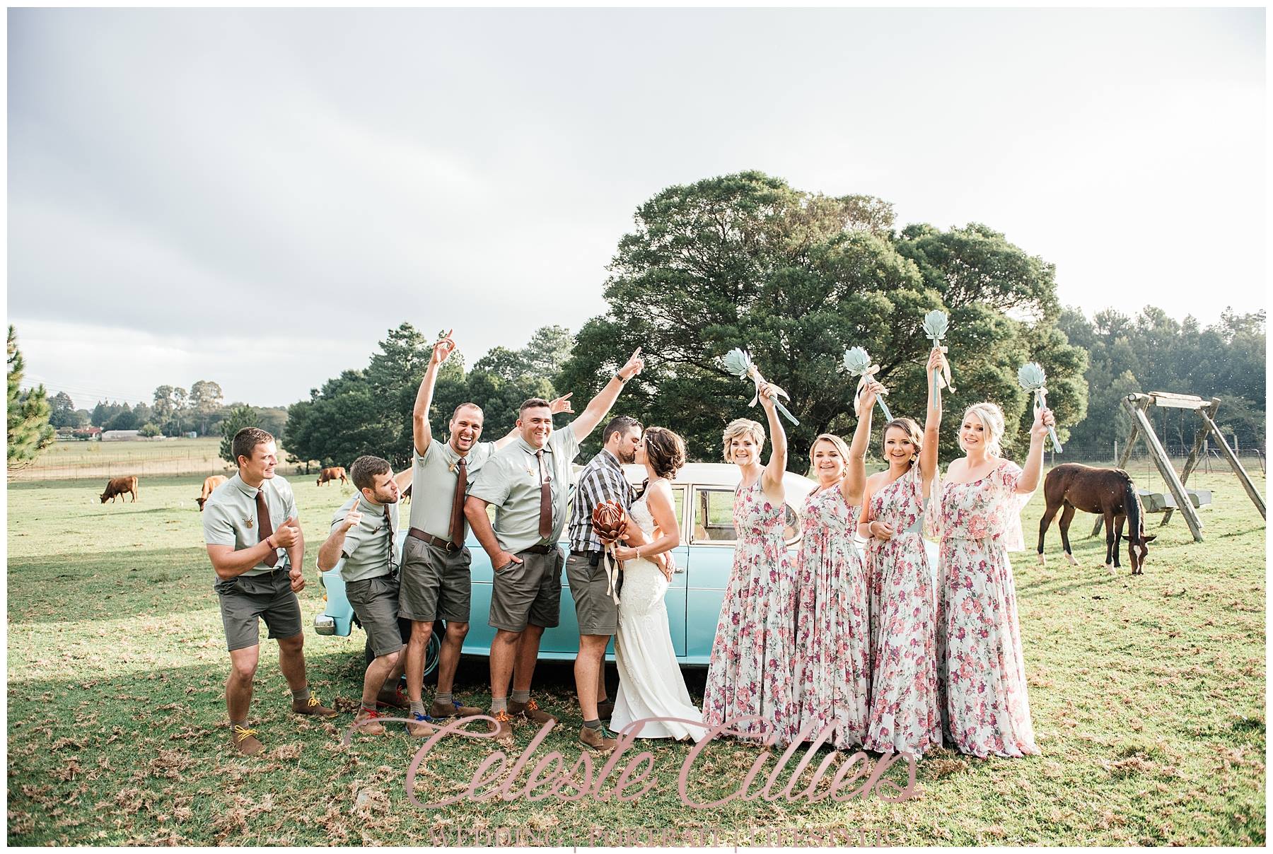 Celeste Cilliers Photography