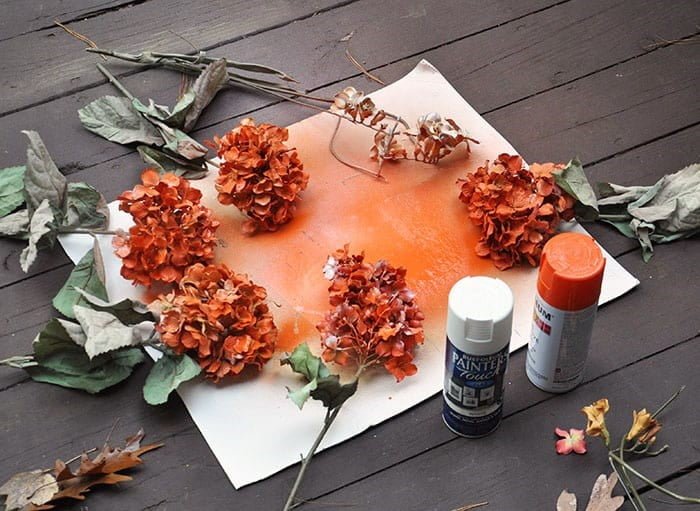 Spray Painted Blooms