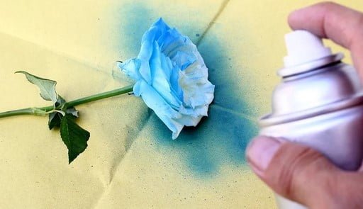 Spray Painted Blooms