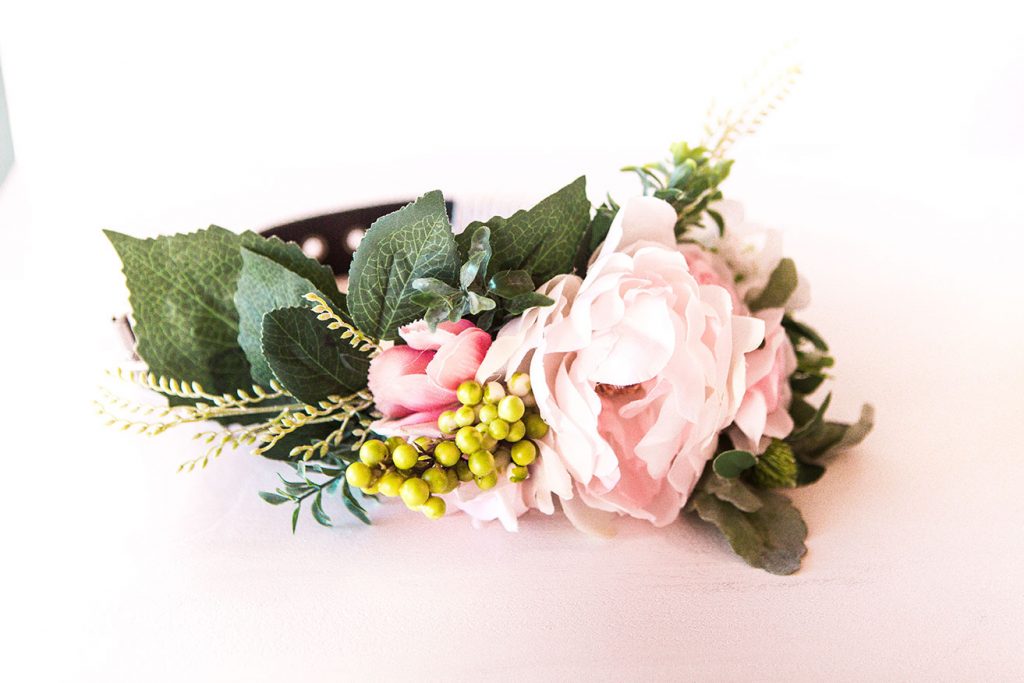 Floral dog collar
