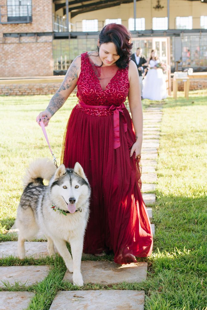 Pet Friendly Wedding Venue