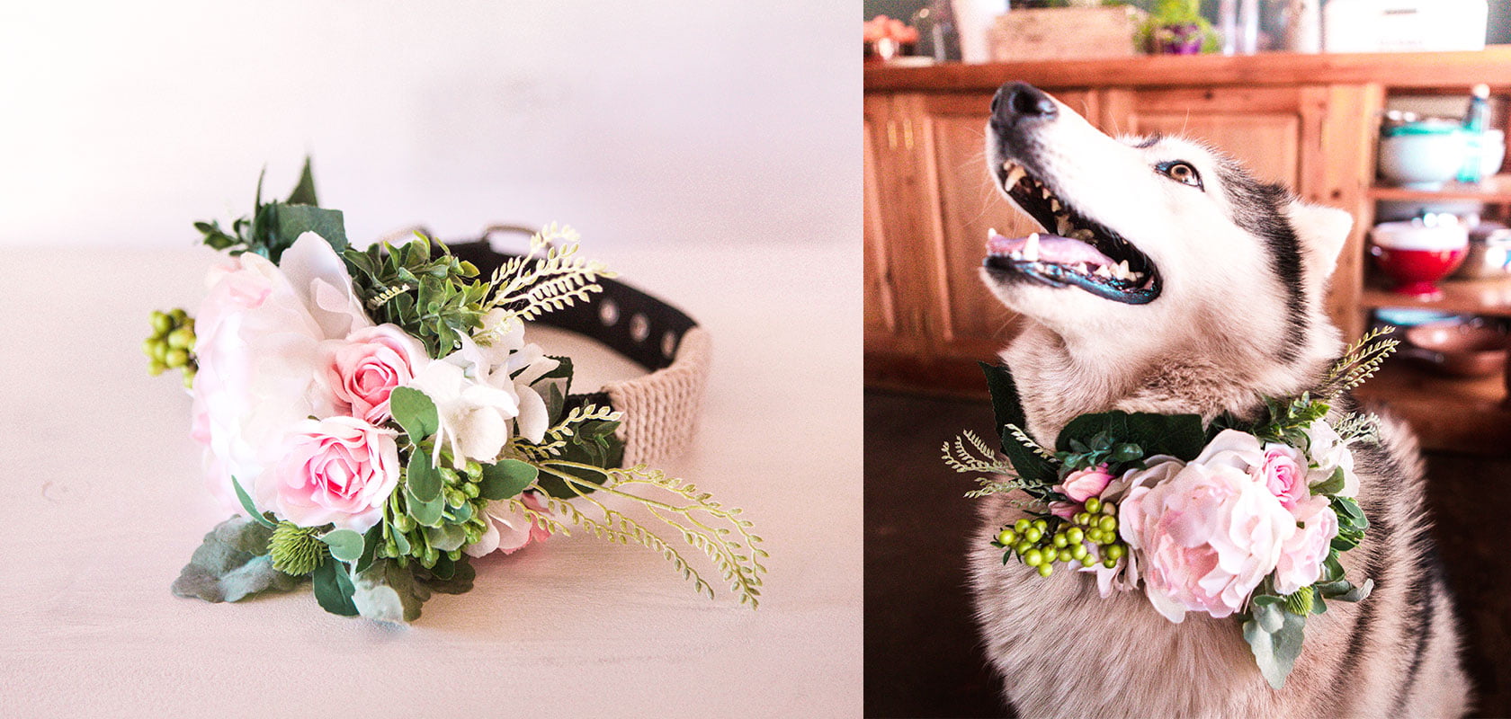 Floral dog collar, In 5 easy steps