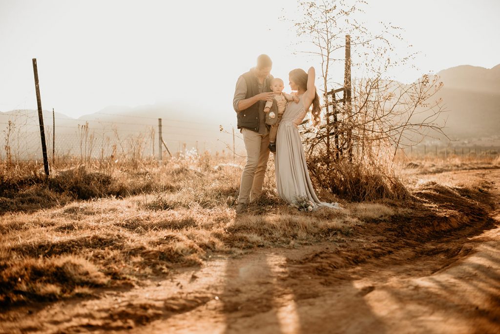 Sunset in a farm field