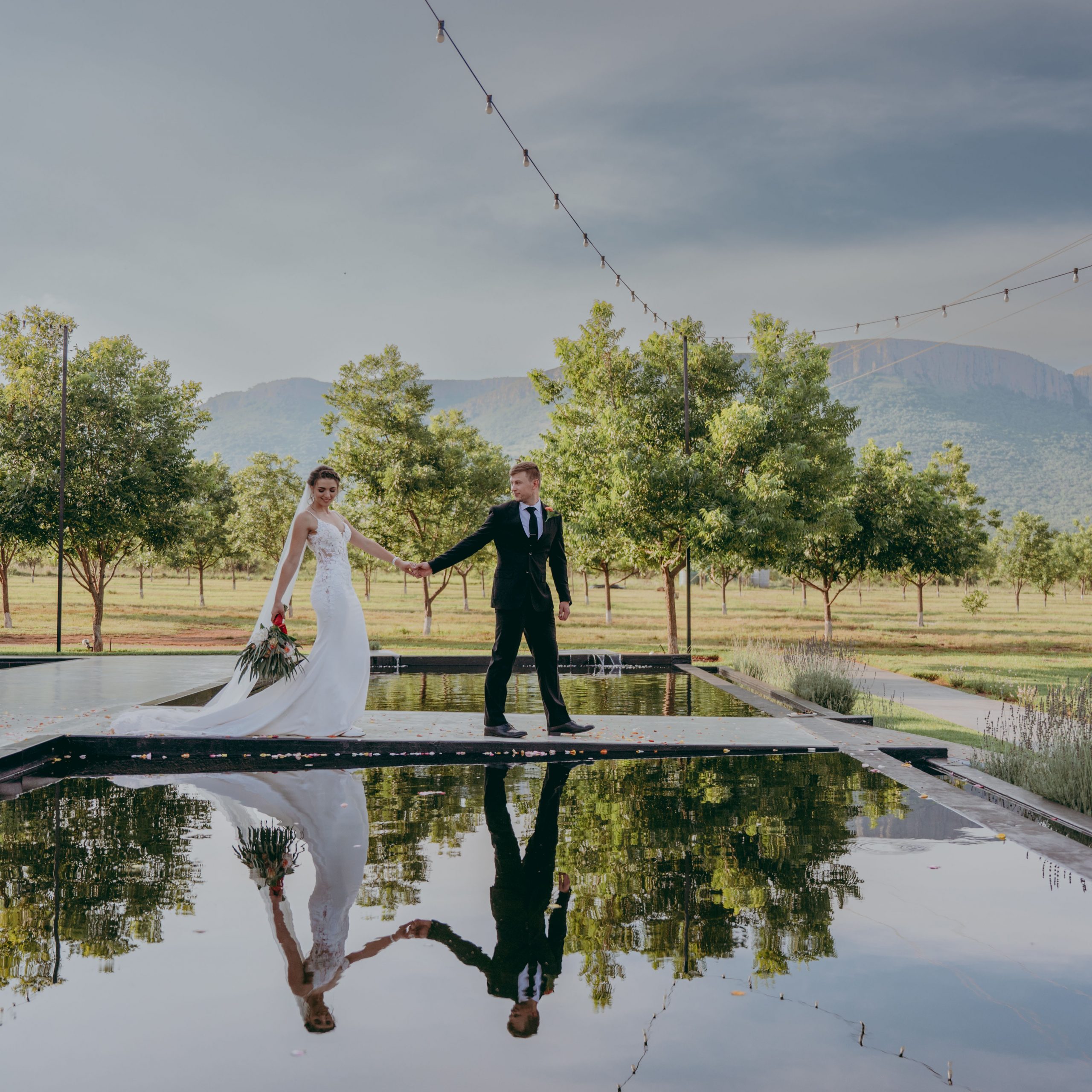 Forest Wedding Venues – Host a Dreamy Wedding In a Pecan Orchard