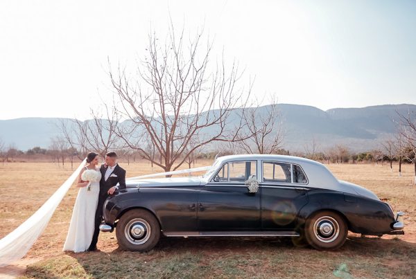 Luxury Wedding
