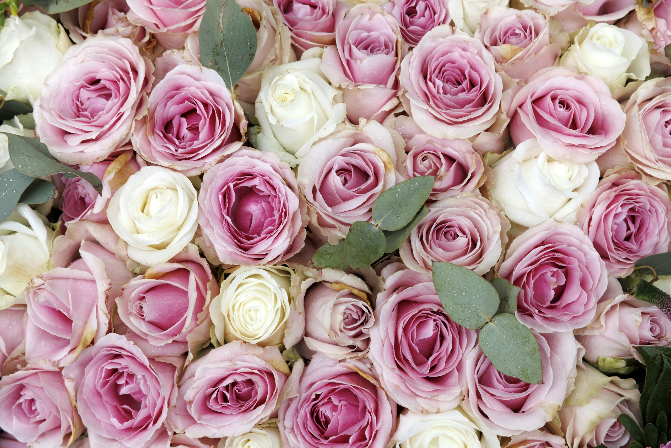 Top tips for choosing a colour scheme for your wedding